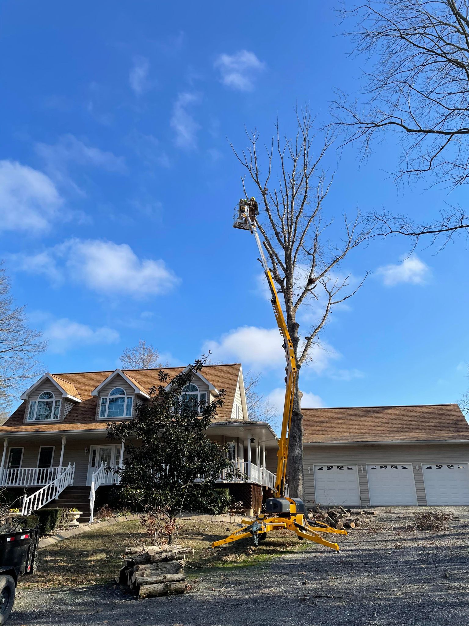 Portfolio KV Trees, LLC