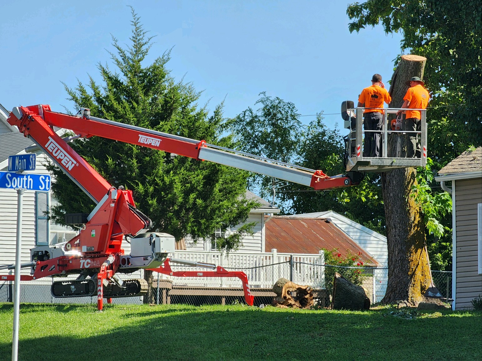 tree services in mount vernon IL