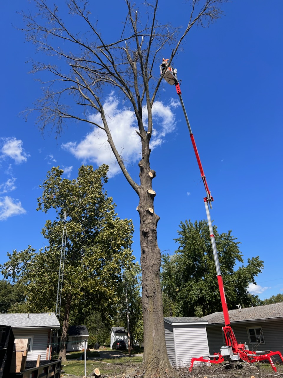 Portfolio KV Trees, LLC