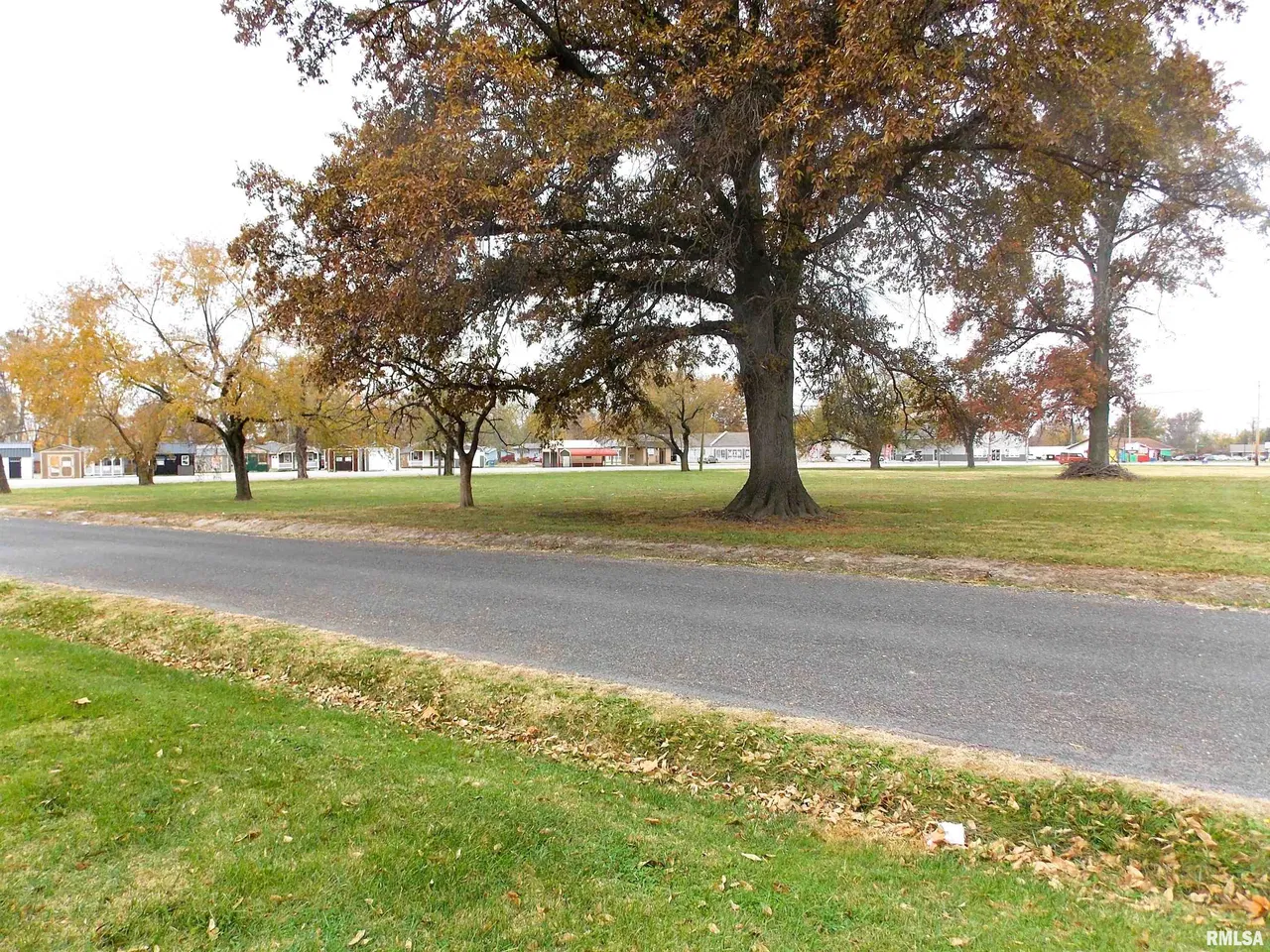 tree services in Centralia 