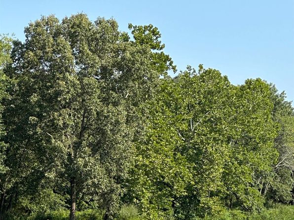 Tree Services in Benton IL 